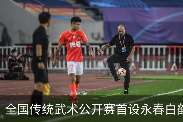 全国传统武术公开赛首设永春白鹤拳赛区 海内外选手以“拳”会友