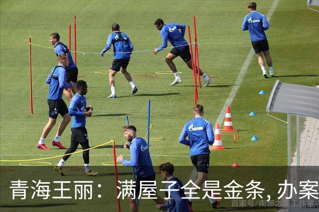 青海王丽：满屋子全是金条, 办案人员数到手抖, 丈夫受不了提前离场
